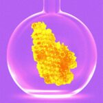 Miel sans abeilles ?