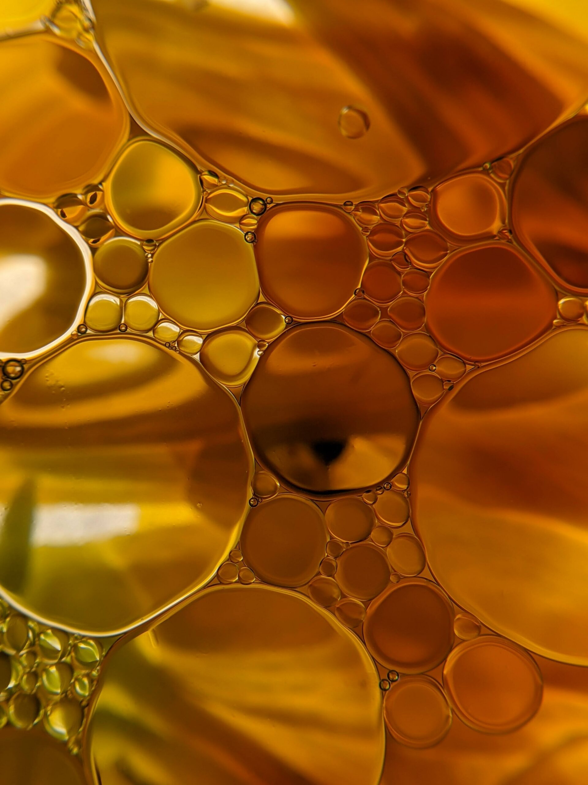 Macro sur Miel Macro sur Miel susan-wilkinson-ReiMJUT19uI-unsplash