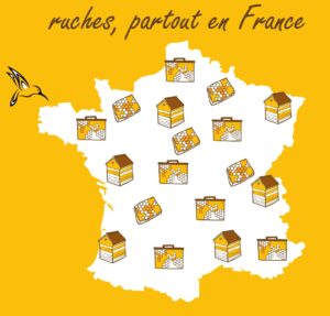 Ruches amateurs partout en France Ruches amateurs partout en France